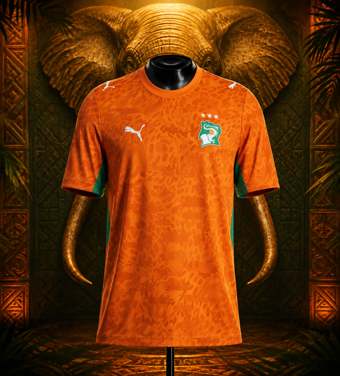 Ivory Coast Home jersey 2026